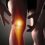 knee-joint