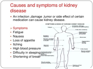 10-diets-to-b-avoided-n-consumed-by-kidney-patients-4-638