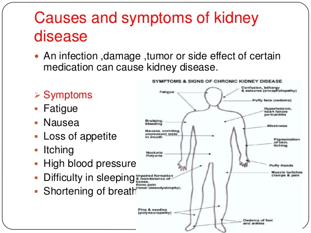 10 Diets To B Avoided N Consumed By Kidney Patients 4 638 